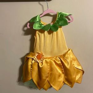 Gymboree Fairy Costume